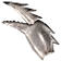 거대집게발