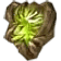 괴목의정수