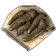 더덕