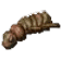메뚜기허물