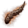 영겁의 뿔