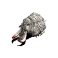 눈코끼리