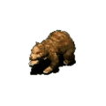 반달곰